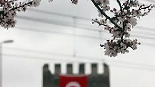 CUMHURİYET MEYDANI'NDA BAHARLIK MANZARALAR!