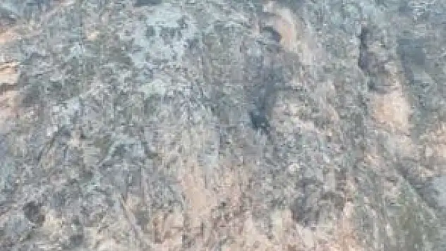 DAĞDA MAHSUR KALAN KEÇİ BİR HAFTADIR KURTARILMAYI BEKLİYOR