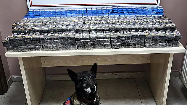Dedektör köpek ele verdi: 2 tırda bakın neler ele geçirildi