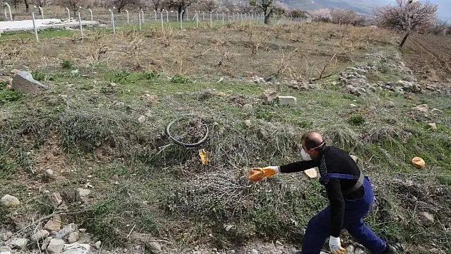 Develi Belediyesi ekiplerinden sokak hayvanlarına mama desteği