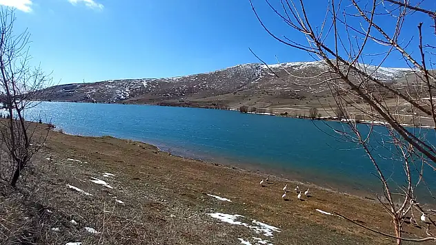 Develi bölgesindeki barajların doluluk oranları belli oldu!