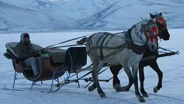 Develi'de 85 yıl önce ulaşım bakın nasıl sağlanıyordu