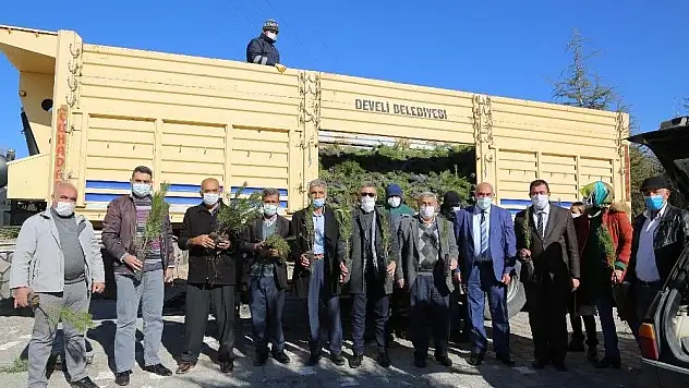 Develi'de 50 bin fidan dağıtıldı