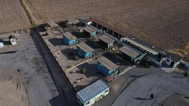 Develi'de onlar için özel bir yer kuruldu!