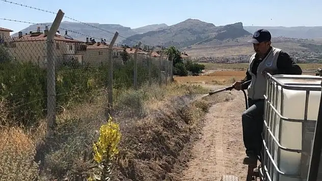 Develi'de parklarda çim biçme ve ilaçlama çalışması