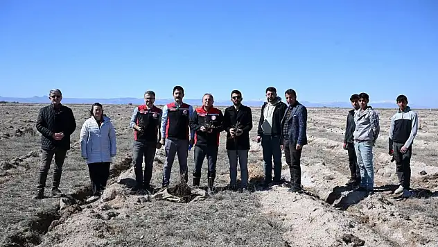 Develi Ovası'na 'süper bitki' desteği!