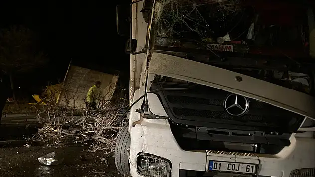Devrilen TIR paniğe sebep oldu!