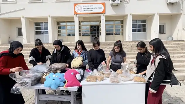 Diyarbakır ve Kayseri arasında kardeşlik köprüsü