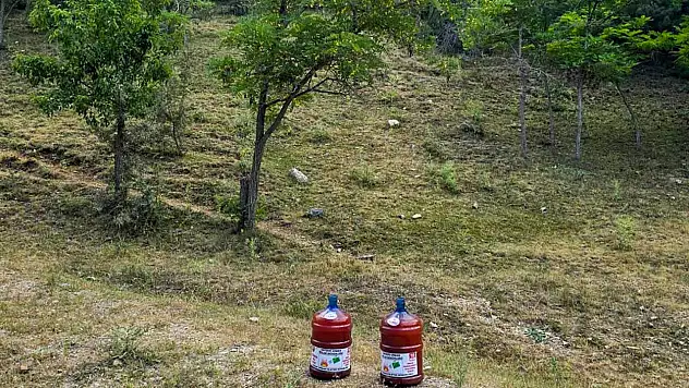 Doğada bu damacanaları görürseniz sakın şaşırmayın! İşte nedeni