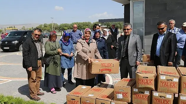 Doğal Ürünler Bahçesi'ndeki üreticilere çilek fidesi dağıtıldı