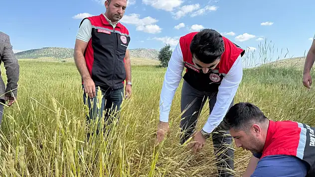 Dolunun vurduğu arazilerde incelemeler sürüyor