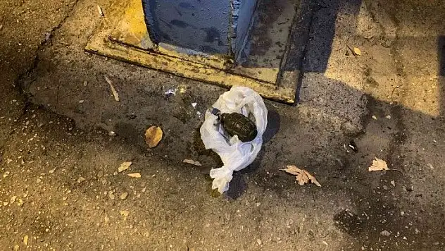 Kaza. el bombası, tabanca ve uyuşturucu...