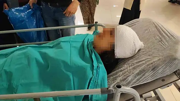 3 sokak köpeğinin saldırısına uğradı