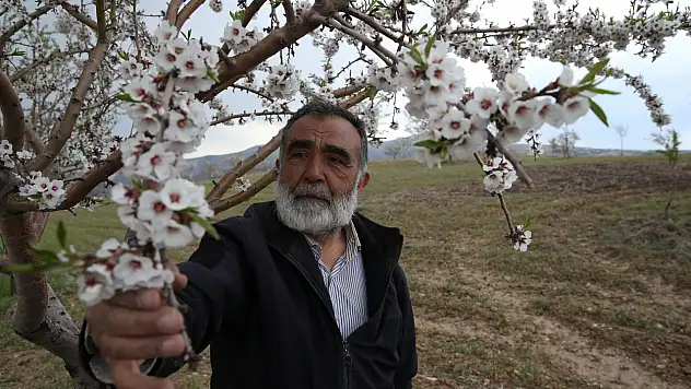 Emekli doktor Kayseri'deki 100 hektarı yeşile boyadı!