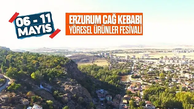 En lezzetli festival! Kebaba doyulacak...