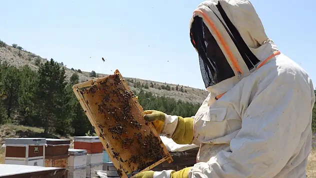 Endemik arılar Özvatan balına lezzet katıyor