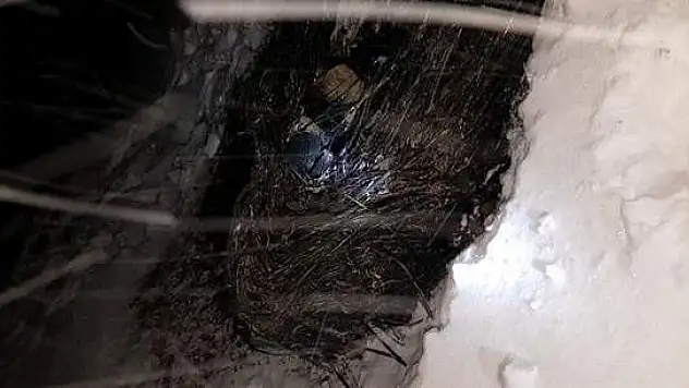 Enerji nakil kablosunu keserek yakan 4 kişi tutuklandı