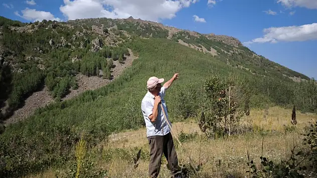 Erciyes'in unutulan cenneti: Hamza Şıh Yaylası