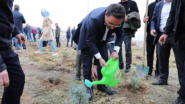 Erciyes lavantayla renklenecek...