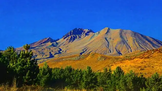 Erciyes Titrek Kavak ile yeşile dönüşür mü?