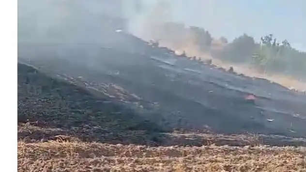 Erkilet Kuşçu'da yangın