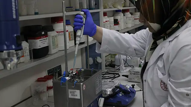 Erciyes Üniversitesi'nden kanser hastalarına umut ışığı!