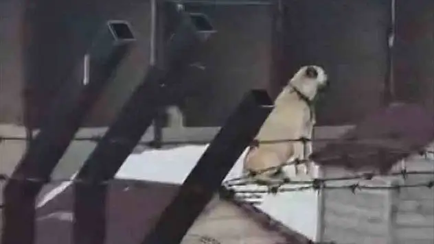 Sivaslı Kangallar Erzincan depremini nasıl haber verdi?