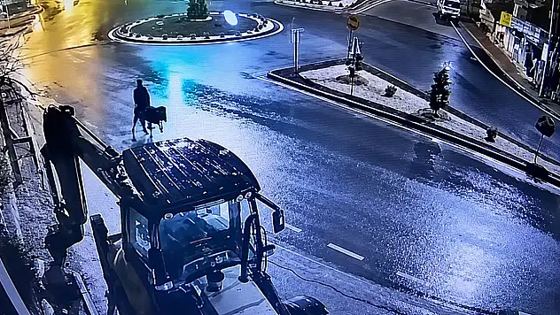 Eşekli hırsızın cezası belli oldu!