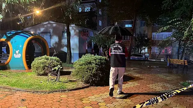 Eski eş ve kayınvalidesini öldüren şahıs, yakalanacağını anlayınca kendini vurdu