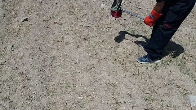 Korku yaşatan yılanı itfaiye ekipleri yakaladı