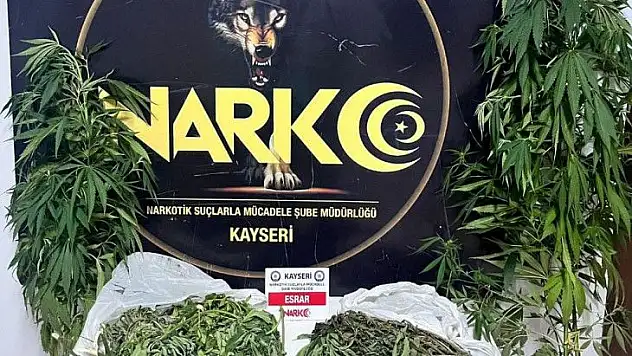 Narkotik Hint keneviri yetiştiren şahsı yakaladı