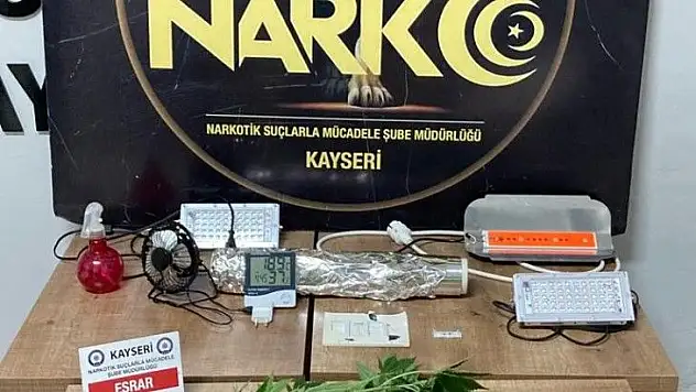 Hint keneviri yetiştiren şahıs gözaltına alındı