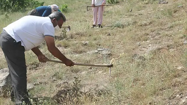 Fatih Mahallesi yeşiline sahip çıkıyor