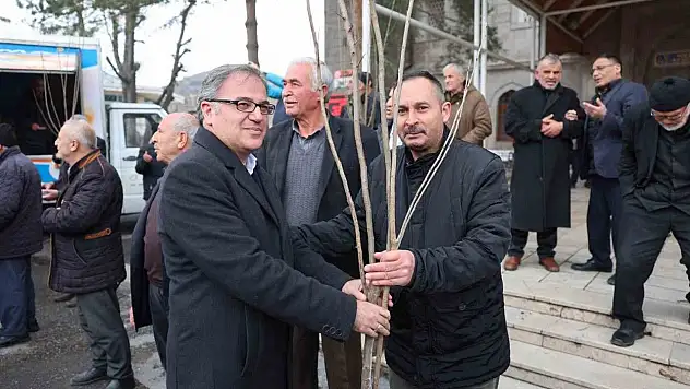 Fidan belediyeden meyve vatandaştan