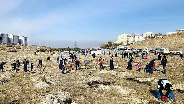 500 fidan toprakla buluştu
