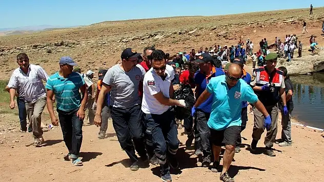Sahipsiz koyunları gören köylüler gerçeği öğrendi