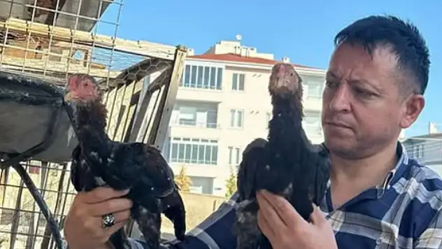 Genç yaşta vefatı ilçeyi yasa boğdu!