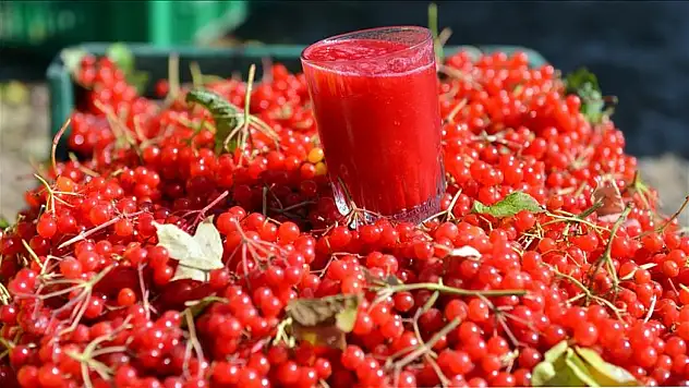 Gilaburudan tatlı yapılır mı? İşte cevabı