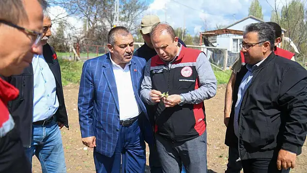 Güneşli'de çiftçinin yüzü gülmedi! Müdür Saklav incelemede bulundu