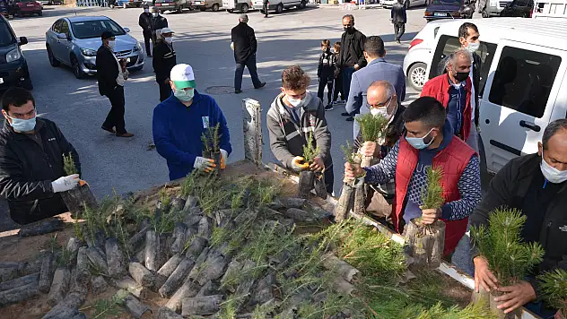 Hacılar Belediyesi fidan dağıttı