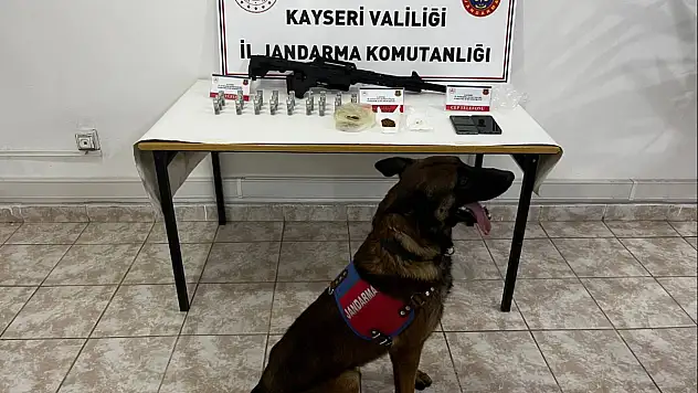 Hacılar'da bonzai, saf uyuşturucu ve silah yakalandı