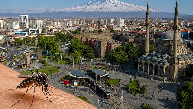 Harita yayımlandı: Kayseri'de dikkat çeken sivrisinek riski
