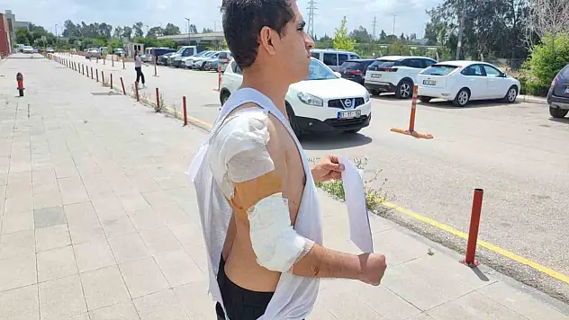 Askerden izine geldi kurt köpeğin saldırısına uğradı