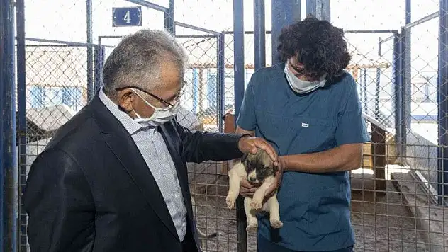 Büyükşehir ikinci hayvan barınağını yapıyor! Peki nereye yapılacak?