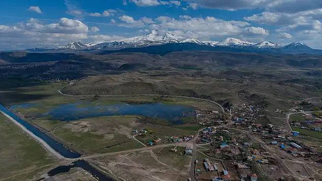 'Hayvan ölümleri' yaşanmıştı! Kayseri'deki işletmelere ceza yağdı