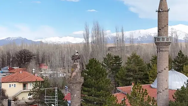 Her bahar aynı hikaye! Kayseri'deki bu minarenin gizemi ne?