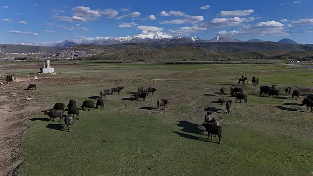 Her karesi ayrı güzellik olan Kayseri'nin saklı cennetinde görsel şölen