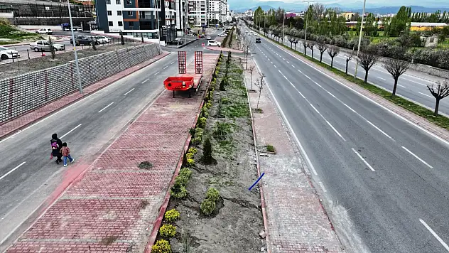 Her mahalleye ağaç, her sokağa yeşil dokunuş