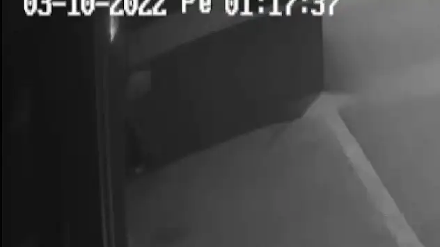 1 milyon liralık kasa çalan hırsızı dışkısı ele verdi