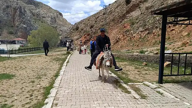 Kayseri'de eşekli turlar başladı!
